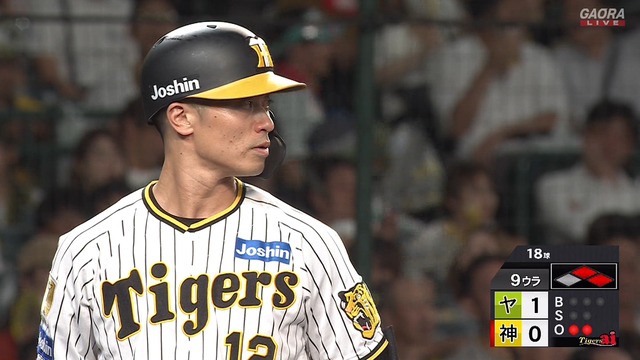 2024_0709_221531_484