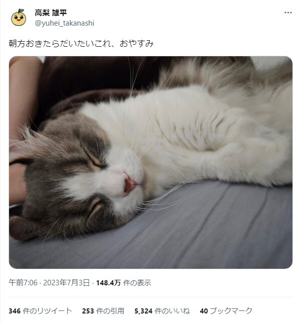 巨人・高梨が猫の画像をアップ → 阪神ファン「近本と同じポーズをさせるな！」