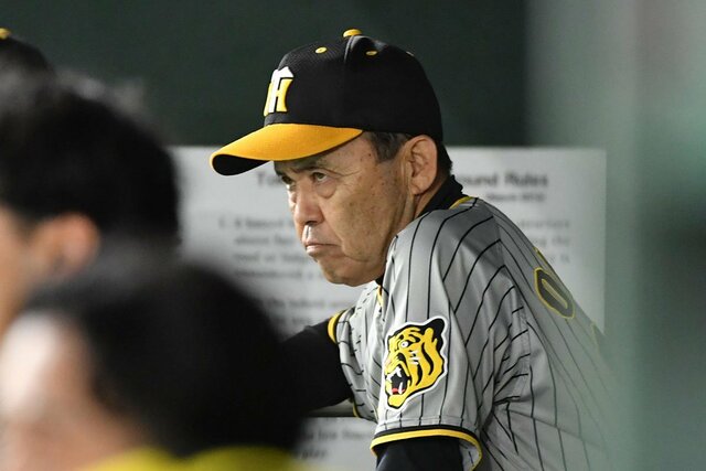 20240718-00309814-tospoweb-000-3-view