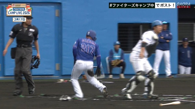 2026_0217_131420_675