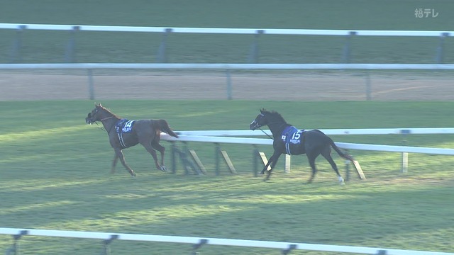 2025_1130_155450_360