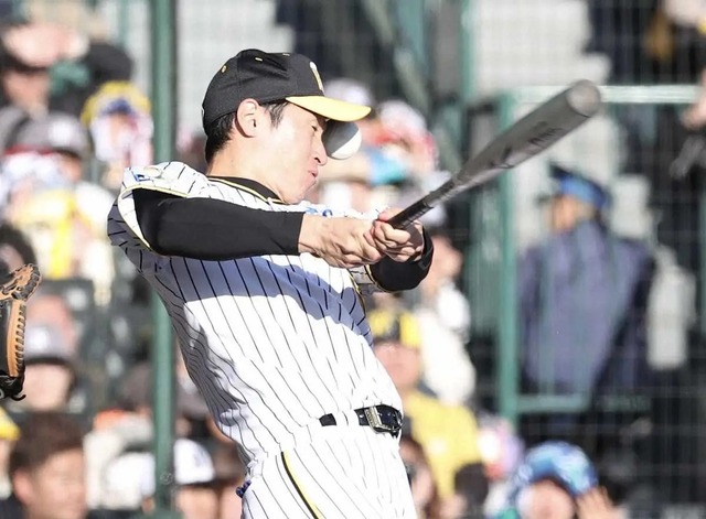 20241123s10001173164000p_view