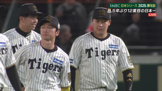 2025_1030_222650_317