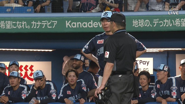 2025_0617_224323_650