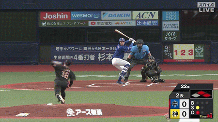 新規