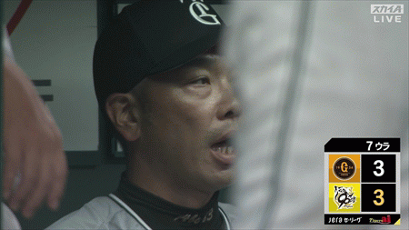 新規