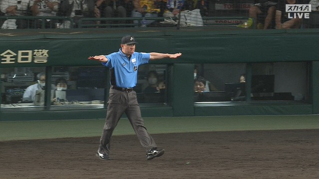 2025_0702_205620_383