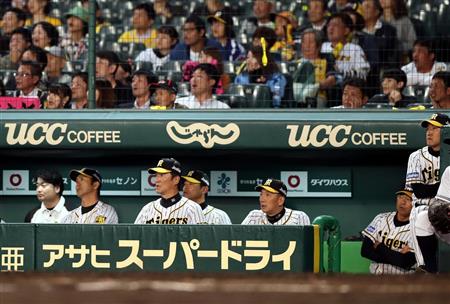 tig18100510000002-p1