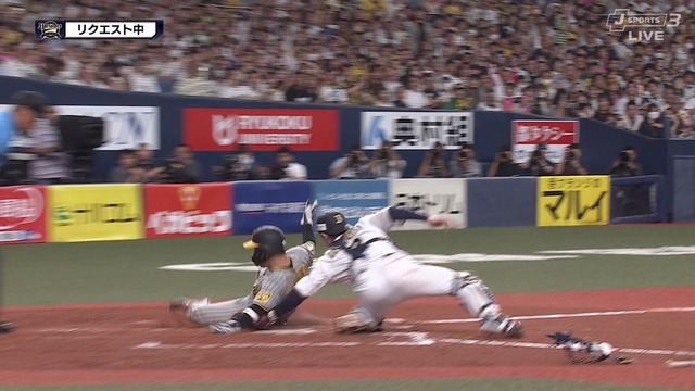 2024_0613_192405_947