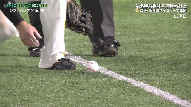 2025_1025_203036_179