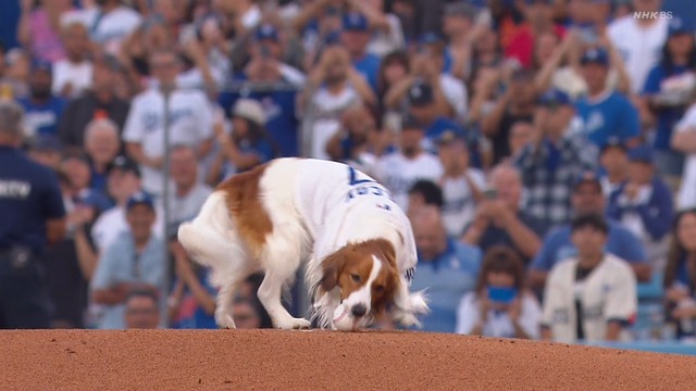 2024_0829_125457_875