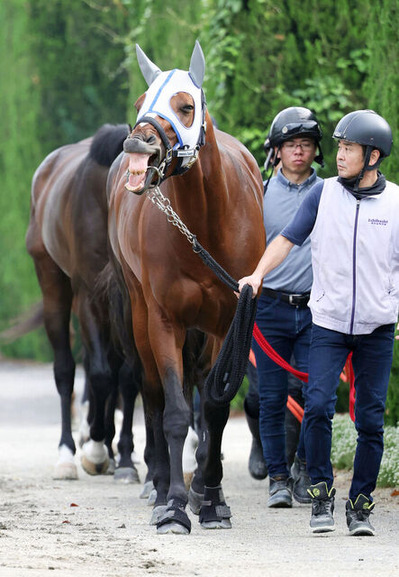 20250612-06121122-umatokuh-000-1-view