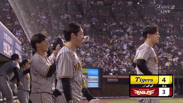 2023_0608_205737_027