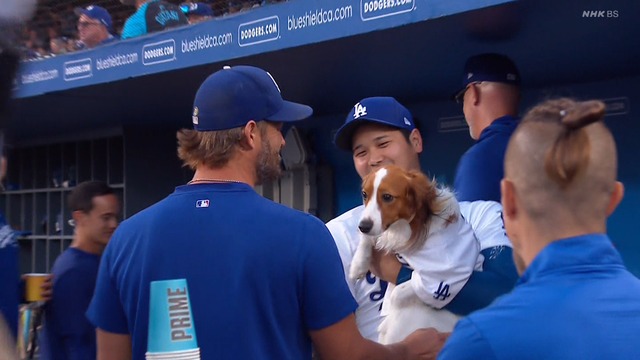 2024_0829_125616_612