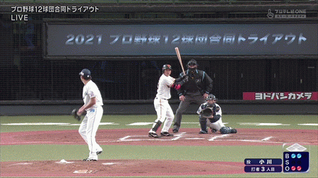 新規