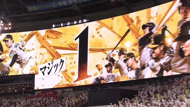 2024_0922_165634_881