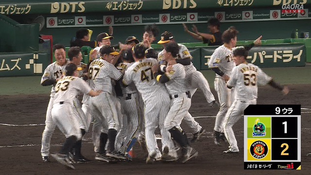 2024_0709_221035_724