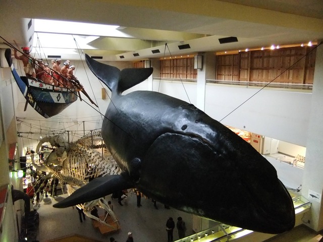 20120108232928_39_3