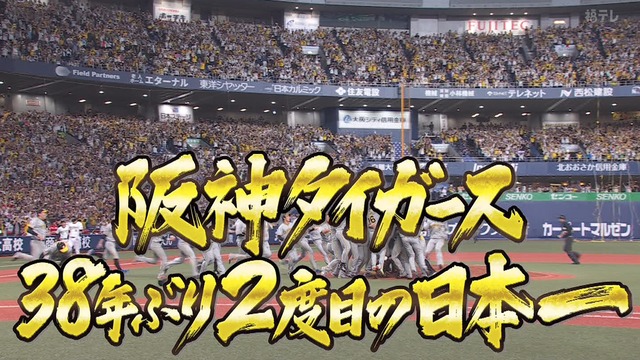 2023_1105_220856_369