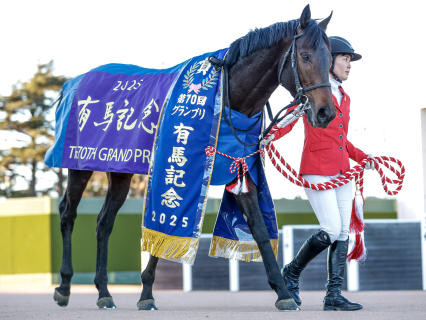 horse_photo