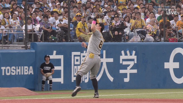 2024_0908_174601_387