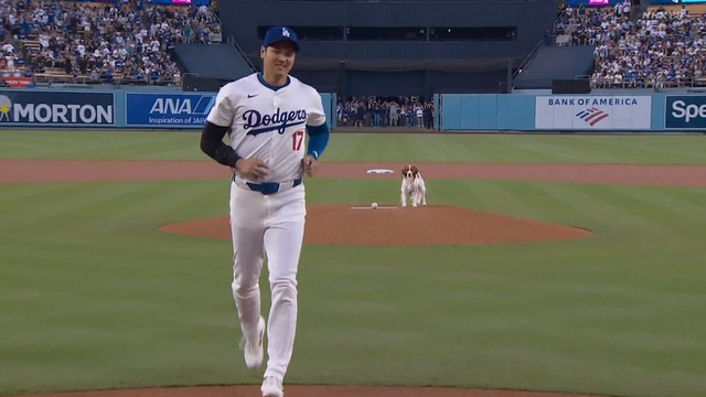 2024_0829_125448_073