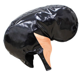 livejupiter_1438150110_103