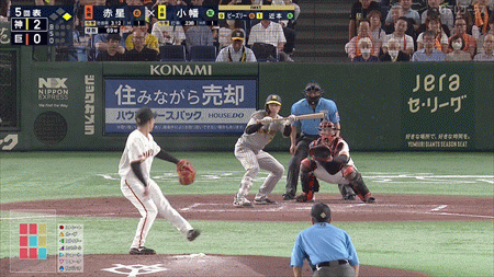 新規