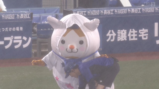 2024_0528_232933_383