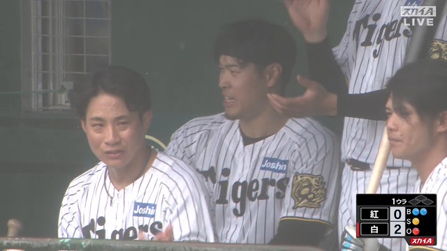 2025_0209_132657_713