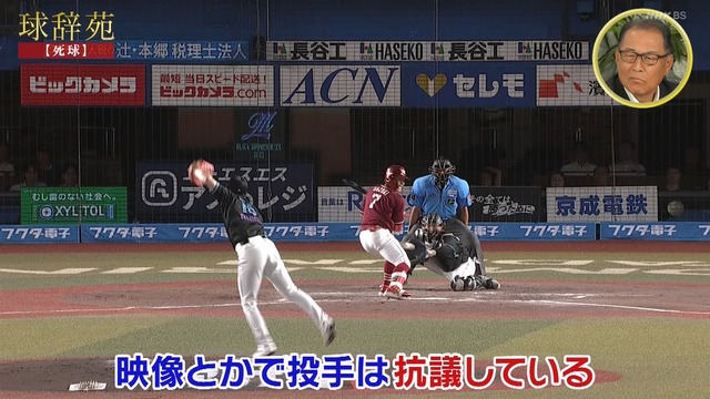 2025_1124_231416_454