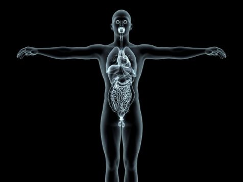 20110725-00020873-r25-001-3-view