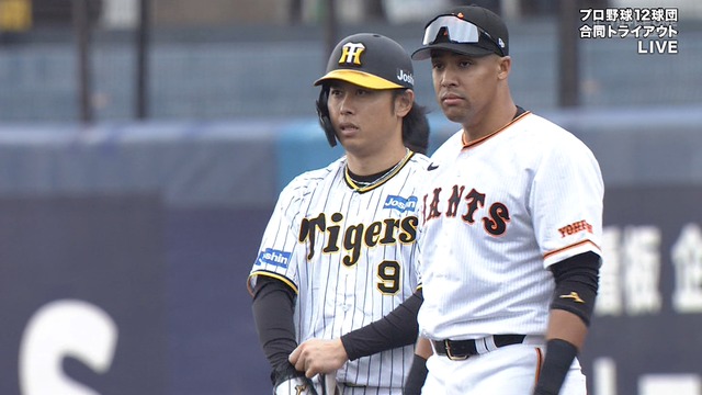 2023_1115_155532_576