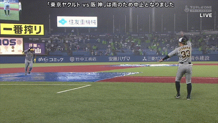 新規
