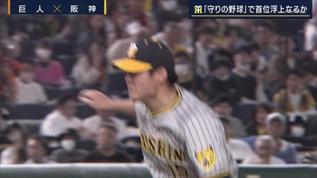 新規