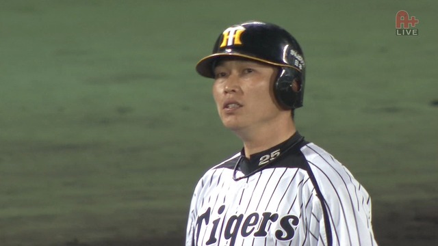 2013_0529_205235_183