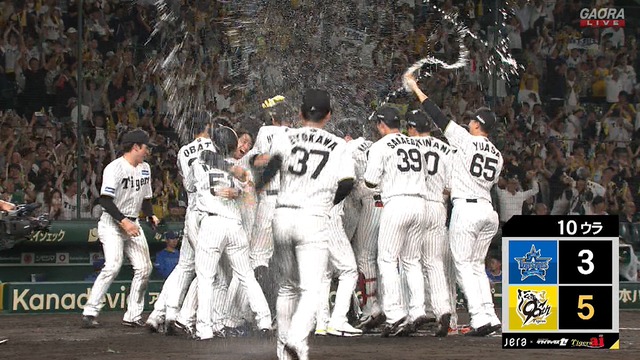 2025_1016_223952_229