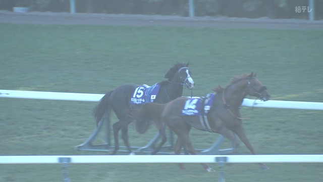 2025_1130_160242_794