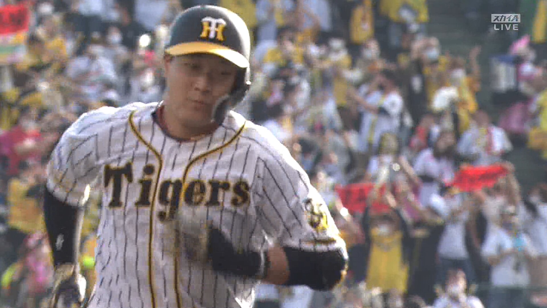 大山25号 岡本に並ぶ 阪神タイガース猛虎魂アンテナ 大山25号 岡本に並ぶ 阪神タイガース猛虎魂アンテナ