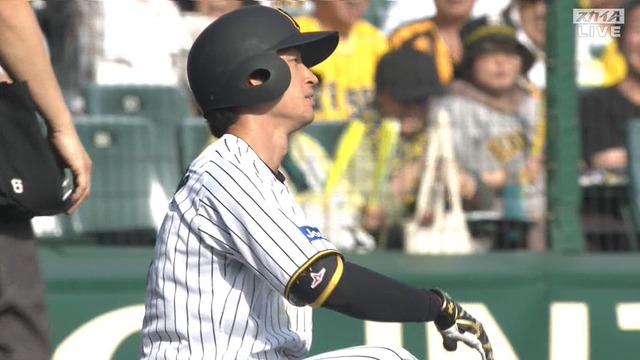 2025_0419_155528_997