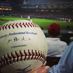 250px-Mizuno_Official_Nippon_Professional_Baseball,_2013