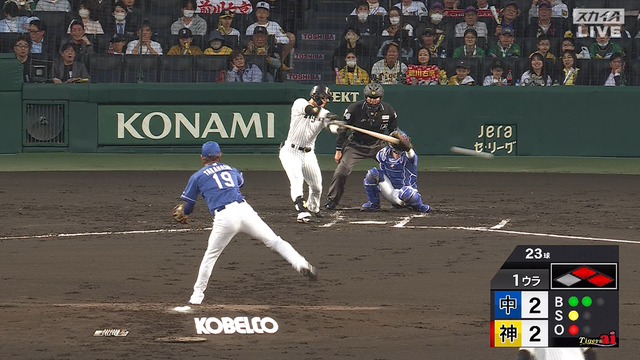 2025_0411_183204_270