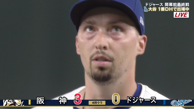 2025_0316_130715_238