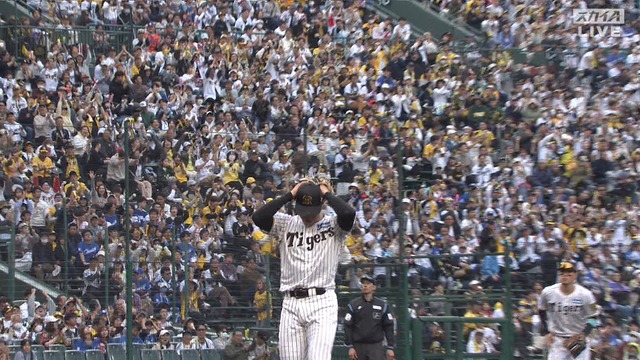 2025_0412_170826_750