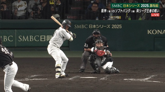 2025_1030_211629_210