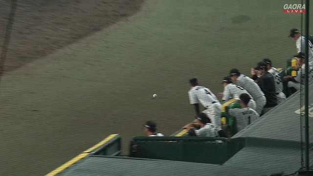 2025_0910_212443_305