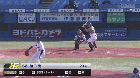 新規