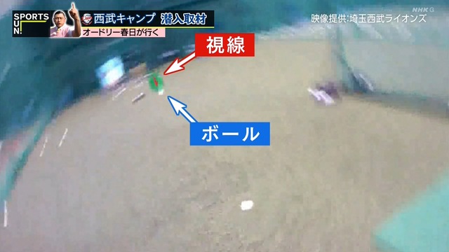 2025_0223_231350_784