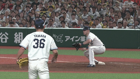新規
