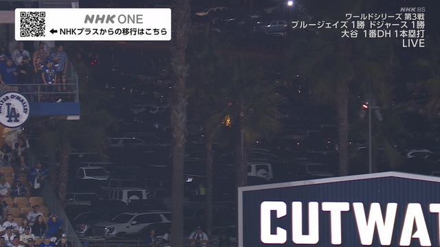 2025_1028_120834_229